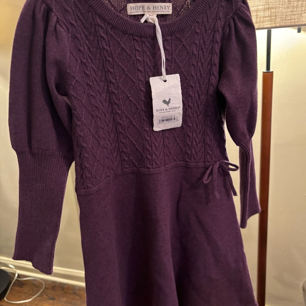 Hope & Henry Girls Casual Knit Dress in Deep Purple